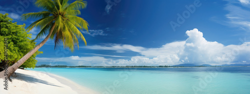 Summer tropical paradise beach background