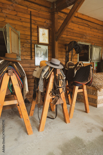 Accessories for horses in stable, dressage horse equipment