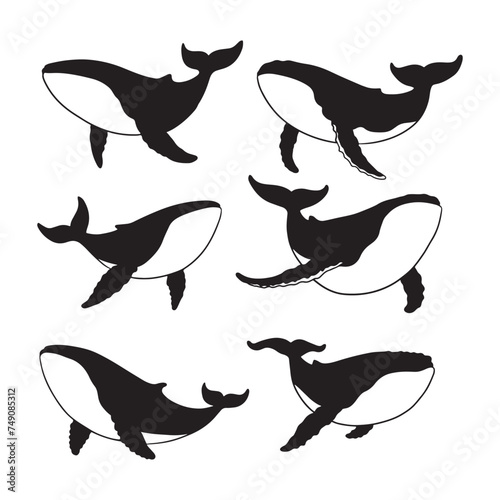 Isolated whale and killer whale on the white background. whale silhouettes. Vector EPS 10.	