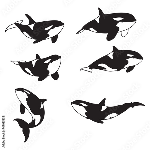 Isolated whale and killer whale on the white background. whale silhouettes. Vector EPS 10.	