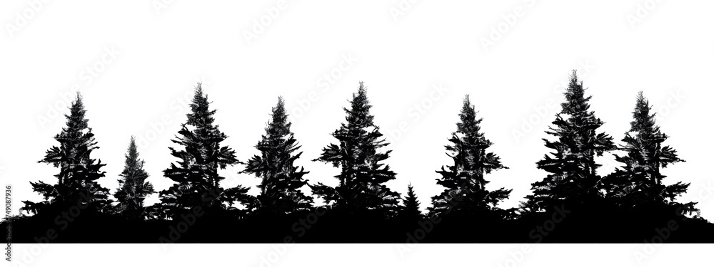 pine tree silhouette - obrazy, fototapety, plakaty 