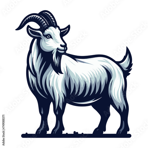 Goat full body vector illustration, farm pet, animal livestock, for butchery meat shop and dairy milk product, design template isolated on white background
