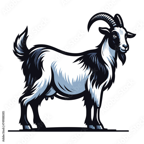 Goat full body vector illustration, farm pet, animal livestock, for butchery meat shop and dairy milk product, design template isolated on white background