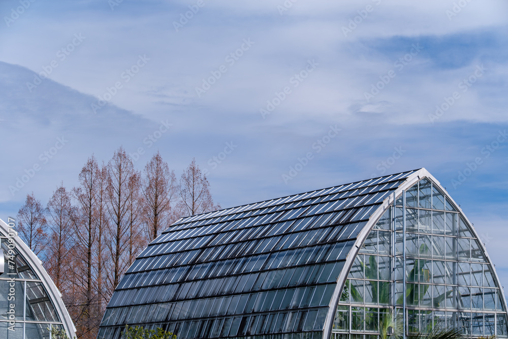 Fototapeta premium 温室と並木