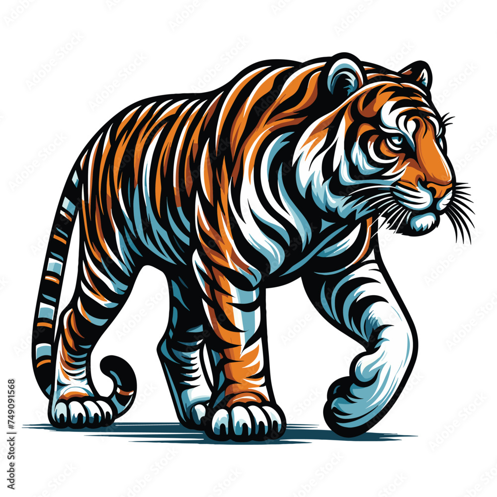 Obraz premium Wild tiger full body vector illustration, zoology illustration, animal predator big cat design template isolated on white background