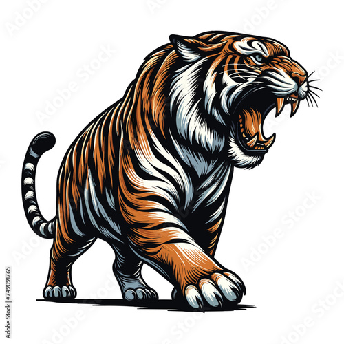 Wild roaring tiger full body vector illustration, zoology illustration, animal predator big cat design template isolated on white background