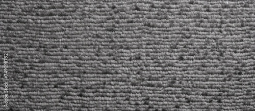This black and white image shows a detailed close-up of a textured gray carpet. The photo captures the intricate patterns and details of the carpets surface, providing a unique perspective on its