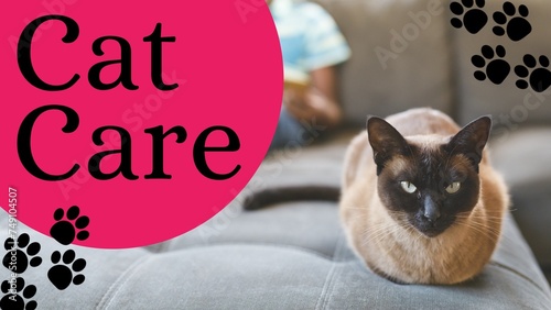 Promoting pet health, a Siamese cat sits prominently, symbolizing attentive feline care