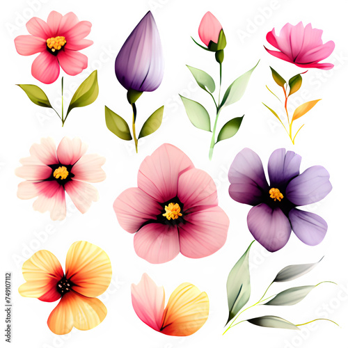 Introducing our "Watercolor Flowers Set - Summer," a delightful collection of vibrant floral illustrations perfect for your print-on-demand projects. This set captures the essence of summer with its c