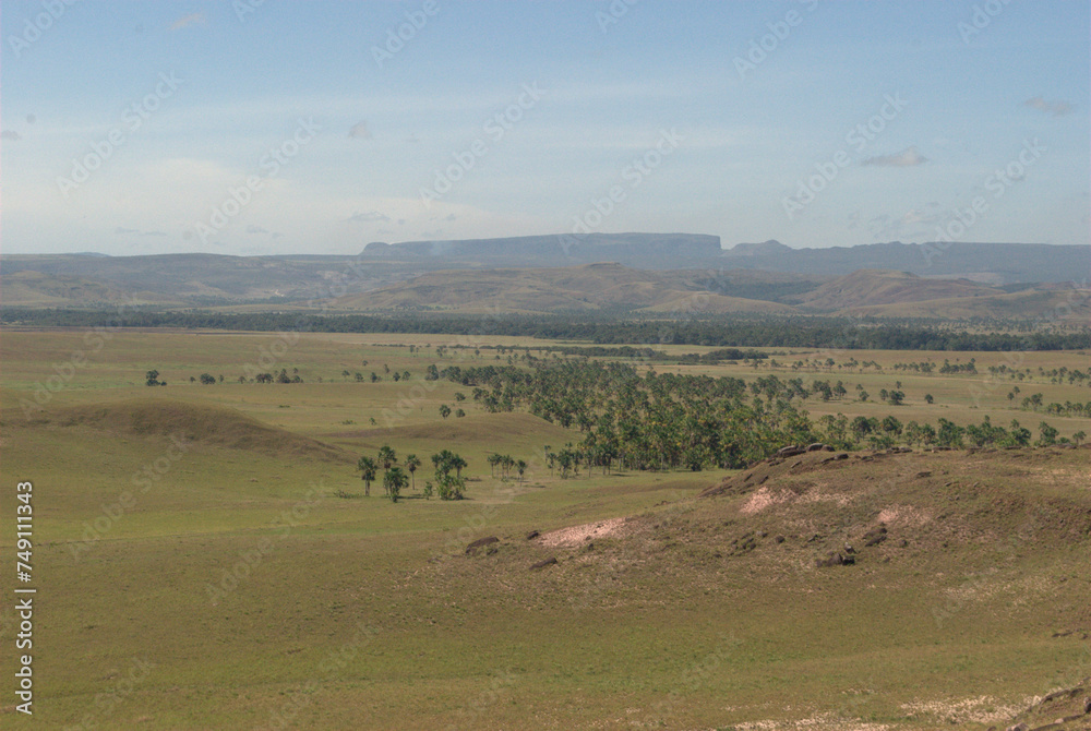 La Gran Sabana,inmensa region llena de selva,Tepuyes y rios. La Gran Sabana,inmensa region llena de selva,Tepuyes y rios.