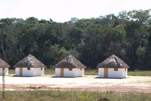 Las tipicas casas de los habitantes de la Gran Sabana.,chozas,techo de palma,paredes de barro.