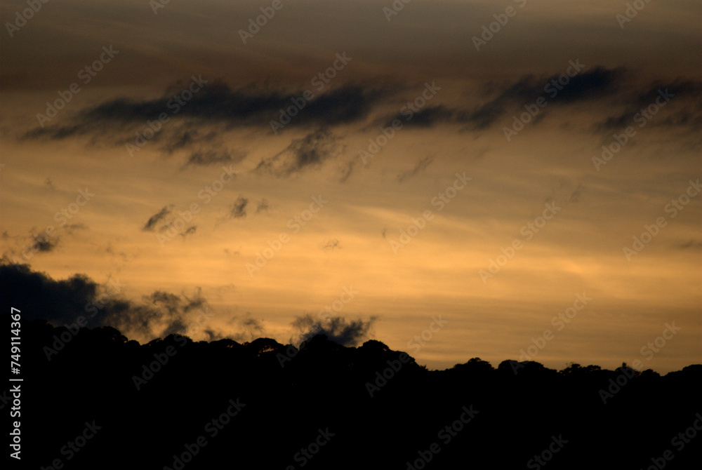 Atardeceres en la Gran sabana,un espectaculo de la naturaleza. Atardeceres en la Gran sabana,un espectaculo de la naturaleza.
