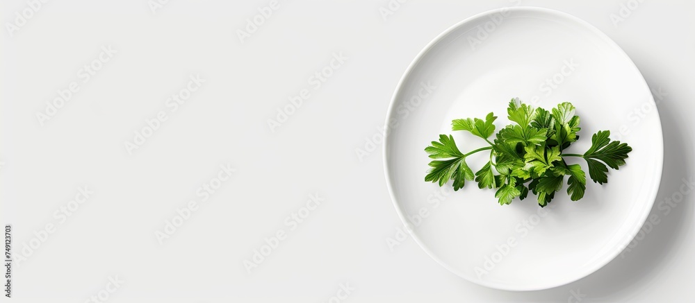 A white plate is topped with a fresh green leafy plant, specifically parsley, against a clean white background. The parsley adds a pop of color to the simple setting. A white plate is topped with a fresh green leafy plant, specifically parsley, against a clean white background. The parsley adds a pop of color to the simple setting.