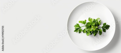 A white plate is topped with a fresh green leafy plant, specifically parsley, against a clean white background. The parsley adds a pop of color to the simple setting.