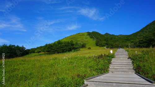 初夏の霧降高原