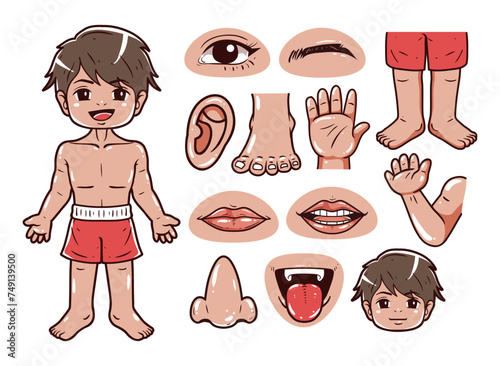 Part of the human body vector illustration set