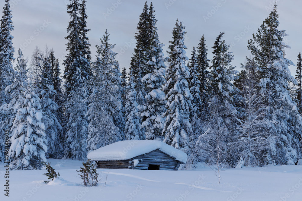 Hut in the forest grown over with frost in deep Winter in northern Finland, above the arctic circle, in Pallas Yllästunturi National Park around Muonio.