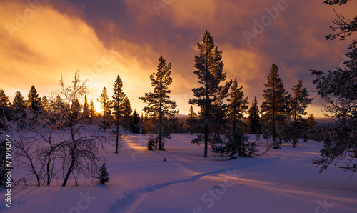 Sunrise in winter landscape in the Pallas-Yllästunturi National Park in Lapland, northern Finland