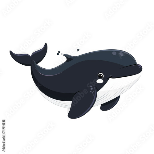 whale