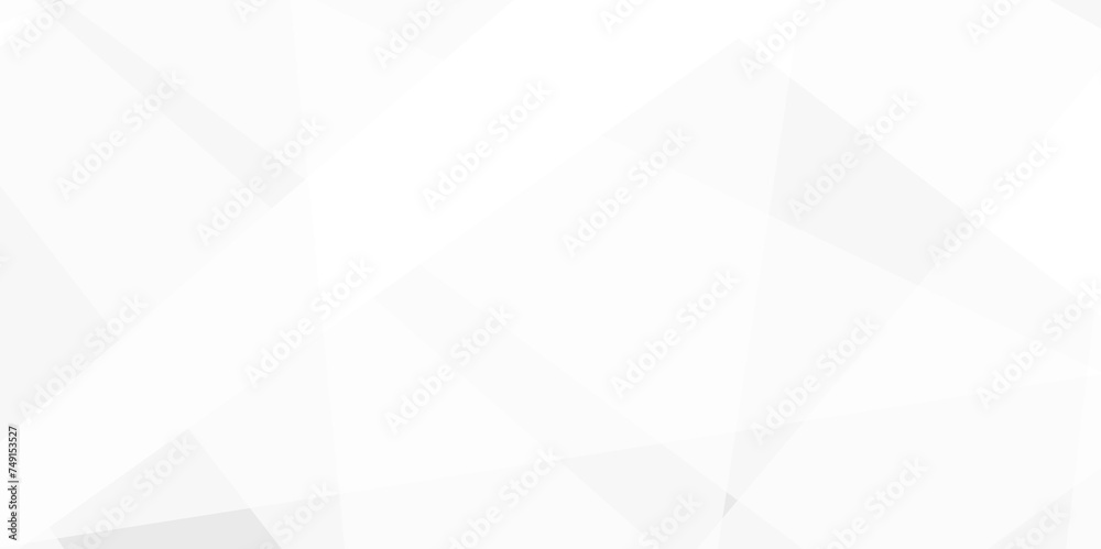 Abstract background with white and gray and geometric style with simple lines and corners, polygons as background geometric style with simple lines and corners, polygons as background paper texture	