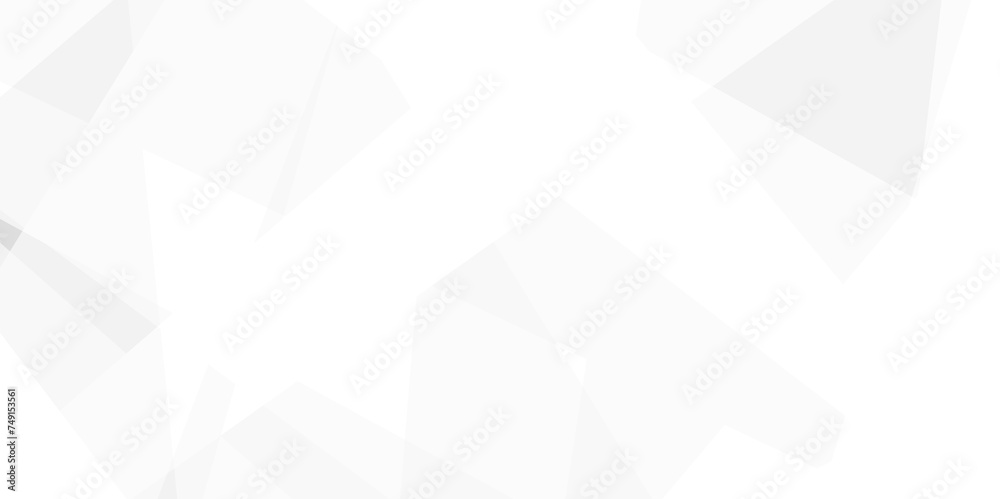 Abstract background with white and gray and geometric style with simple ...