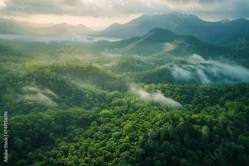 Tropical Evergreen Rain Forest  Rain Forest The nature of various plant species It is complete in terms of ecosystems  biomes  fertile areas  high angle reserved forests  and drone views.Landscape.