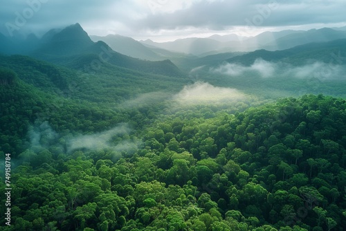 Tropical Evergreen Rain Forest, Rain Forest The nature of various plant species It is complete in terms of ecosystems, biomes, fertile areas, high angle reserved forests, and drone views.Landscape. © Sittipol 