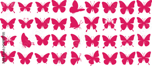 Pink butterfly vector set of butterflies