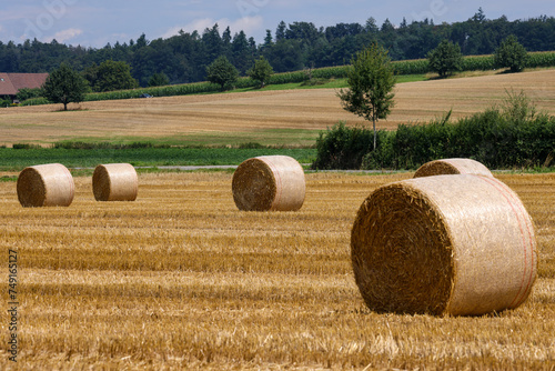 stubble field with haybales in rural Switzerland photo