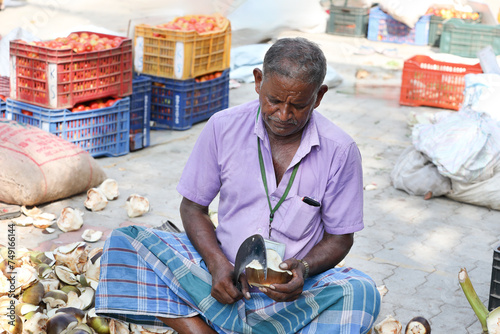 Indian farmer cuts and sells palmyra palm fruit at farmer's market	
 photo