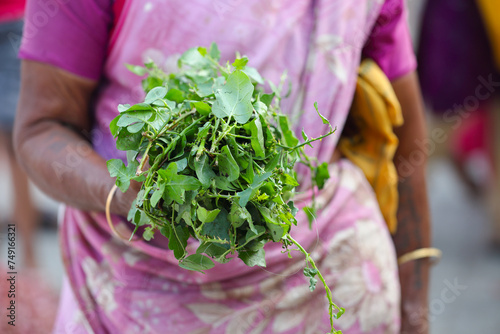 Indian woman selling greens (Thoothuvalai) at farmer's market	
 photo