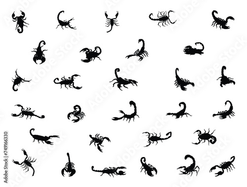 Scorpion silhouette vector art white background