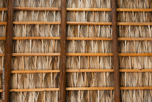 Photos Palapa Mexican hut , roof close up