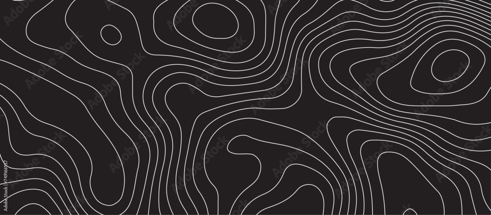 Abstract Geographic Background Abstract background with topographic contour map with geographic line ...