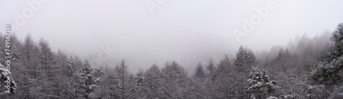 雪山のパノラマ風景