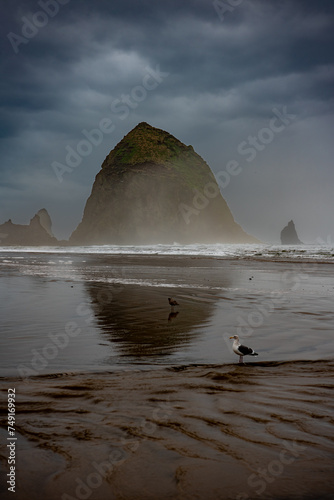 Early Morning at Haystack Rock in Cannon Beach Oregon Portrait