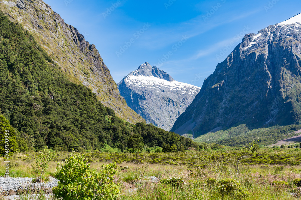 Obraz premium ミルフォードサウンドの山岳風景