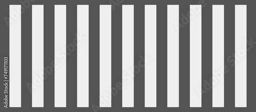 Crosswalk Road Zebra Crossing
