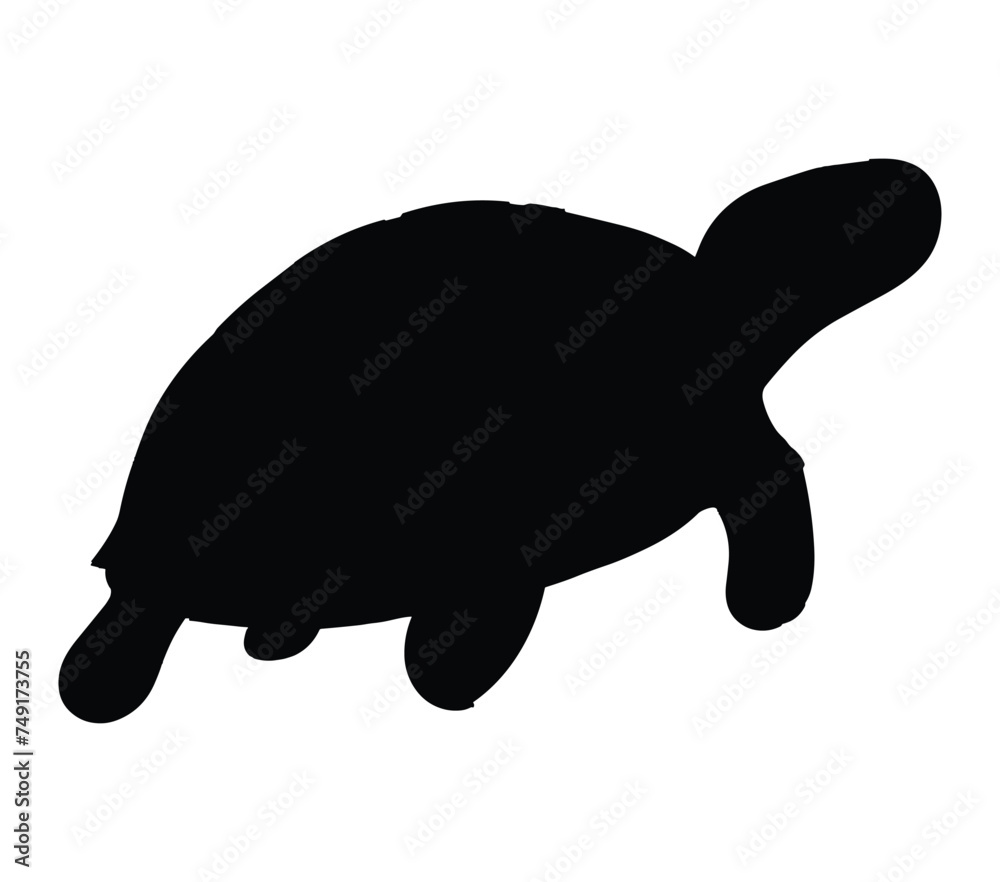 African Helmeted Turtle vector. African Helmeted Turtle vector icon in flat style. African Helmeted Turtle vector. African Helmeted Turtle vector icon in flat style.