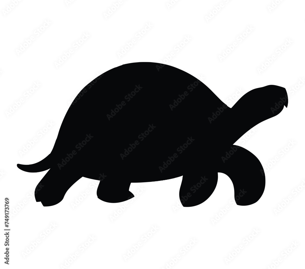 Vector graphic of African Helmeted Turtle. Vector graphic of African Helmeted Turtle.