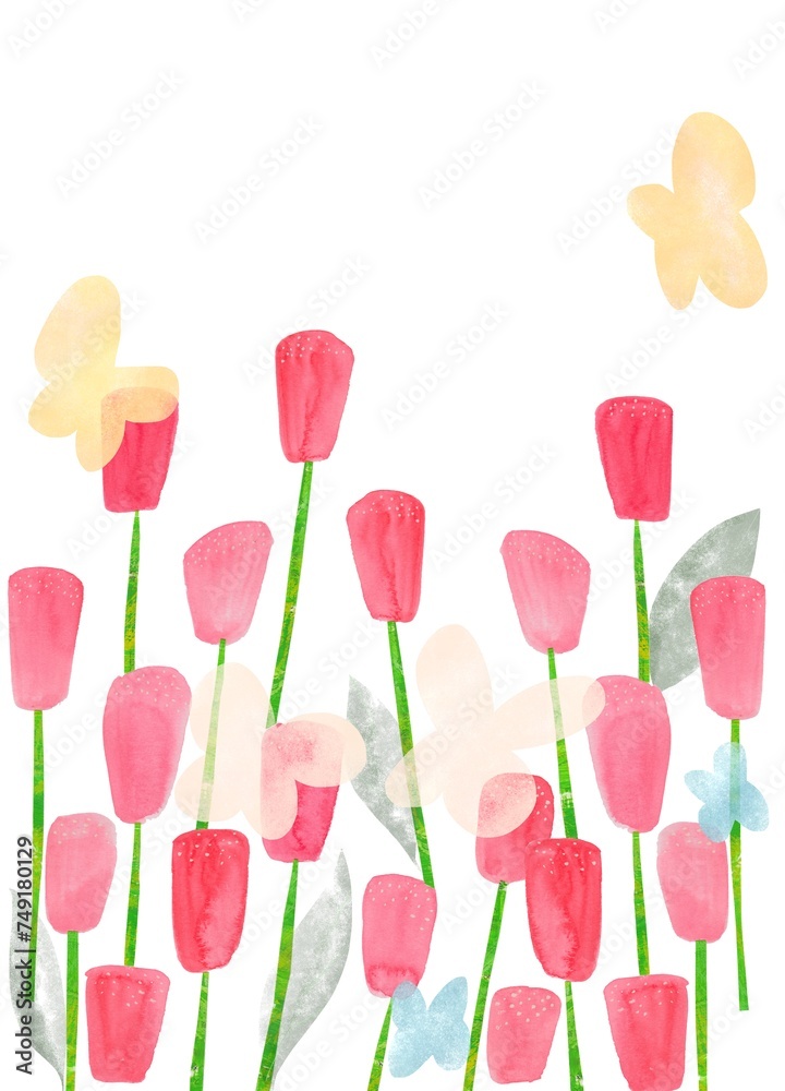 チューリップ２