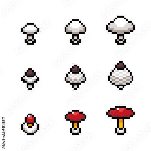 3種類のキノコのピクセルアート