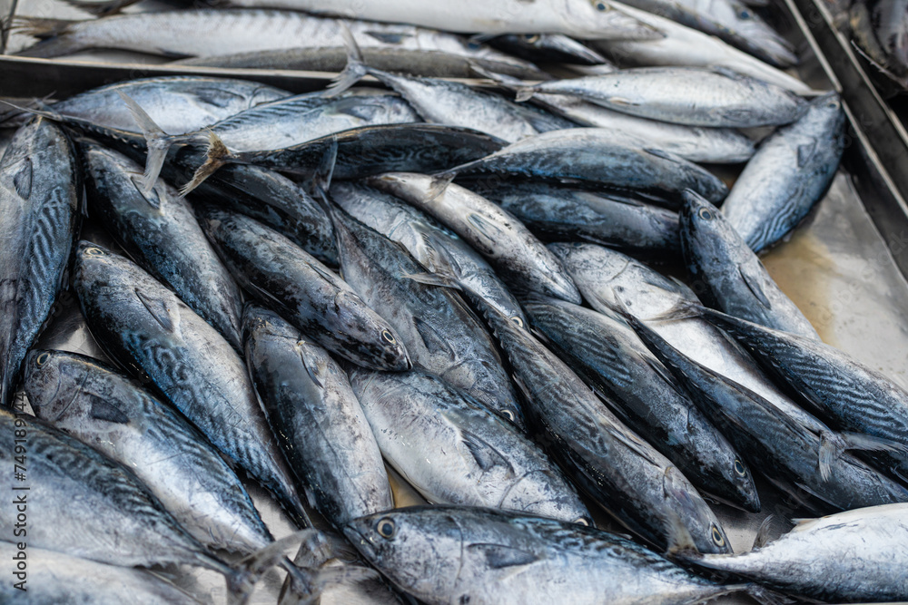 Obraz premium Fresh seafood variety fish sell in traditional asian market