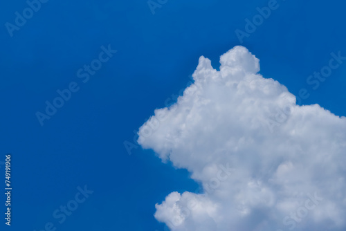 Amazing real cloud forming shaped look like a bear on fresh blue sky. Background for kid education or imagination learning for children. Image of the animal's clouds.