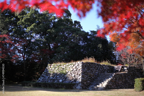 城の天守台と紅葉　
