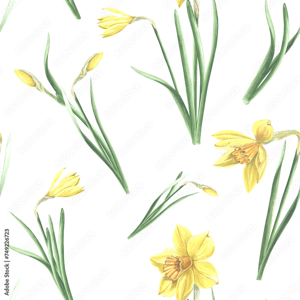 Seamless pattern of yellow daffodils with green leaves on white background. Hand drawn watercolor illustration garden spring narcissus. Template for fabric, wallpaper, scrapbooking, wrapping, textile.