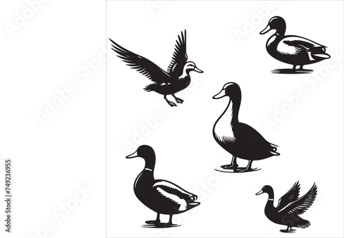 set of black duck silhouettes vector illustration 