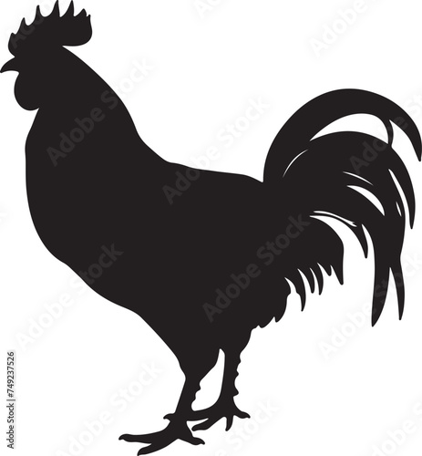 Chicken Silhouette Vector Illustration White Background