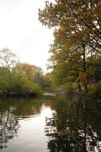 Vibrant and tranquil nature in Denmark