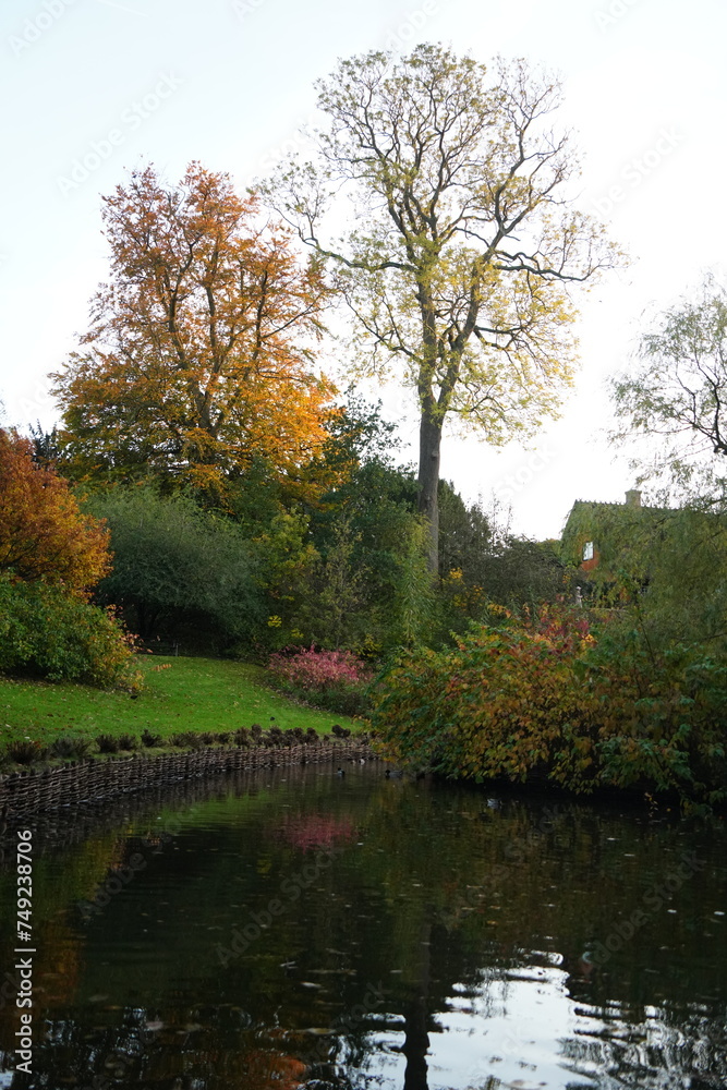 Vibrant and tranquil nature in Denmark